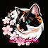 MZc8Ka5Wols-channel-avatar-xXKaderinXx