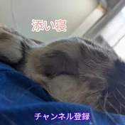 Qumiteshia / キュミテシア | 人生の攻略
