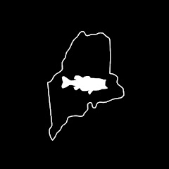 Maine Bass