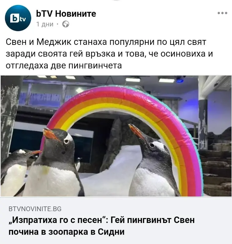 o_rI7RhgrvEVpRG74ZykIt5Di2zm115n3je22-7w