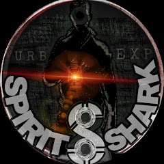 SPIRIT 8 SHARK Avatar
