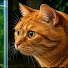1HxcedC8aN8-channel-avatar-AquaCat Relax