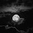 @FatmaAbdelmgeed-c2w
