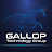 Gallop Technology Group