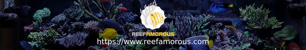 ReefAmorous Avatar canale YouTube 