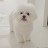 @포포-s6b