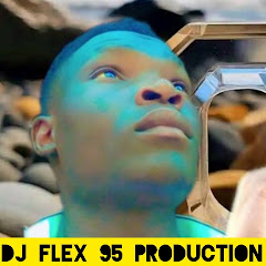 dj flex 95 Producer