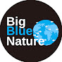 Big Blue Nature logo