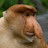 @Funnyvideo-b3l9d