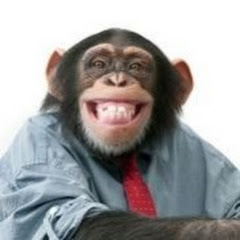 Alex Trading Tips 📝