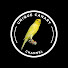 NctJPa6u--U-channel-avatar-UNIQUE CANARY
