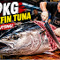 WWm5HdLHo-U-channel-avatar-Rocky Fish