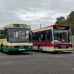 Buses 31