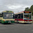 Buses 31