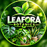 Rze3QM_JOE0-channel-avatar-LEAFORA BOTANICS