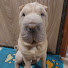6i03l_xAw2c-channel-avatar-Wrinkle Boss