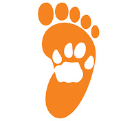 Wildlife Conservation Action