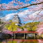 実話感動チャンネル