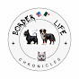 Border Life Chronicles. logo