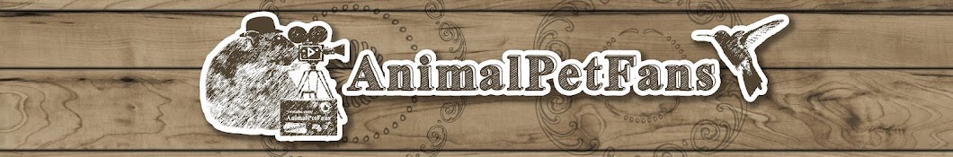 AnimalPetFans Avatar canale YouTube 