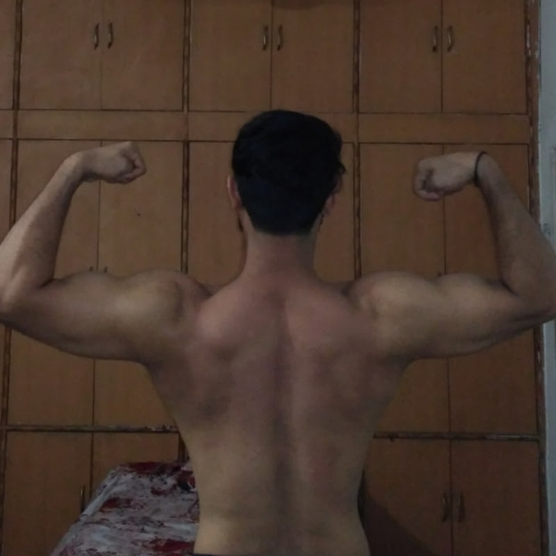Faiz Fitness Fun (Desk to Dumbbell)