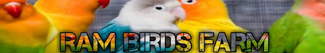 RAM BIRDS FARM यूट्यूब चैनल अवतार