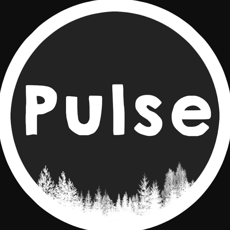 Pulse Musification icon