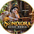 cwMeG7tGHf0-channel-avatar-Sonixora Music World