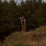 tyu_ns9jKKE-channel-avatar-Jonas Vasi