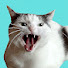 AjqCKvSukJA-channel-avatar-Cat Masik