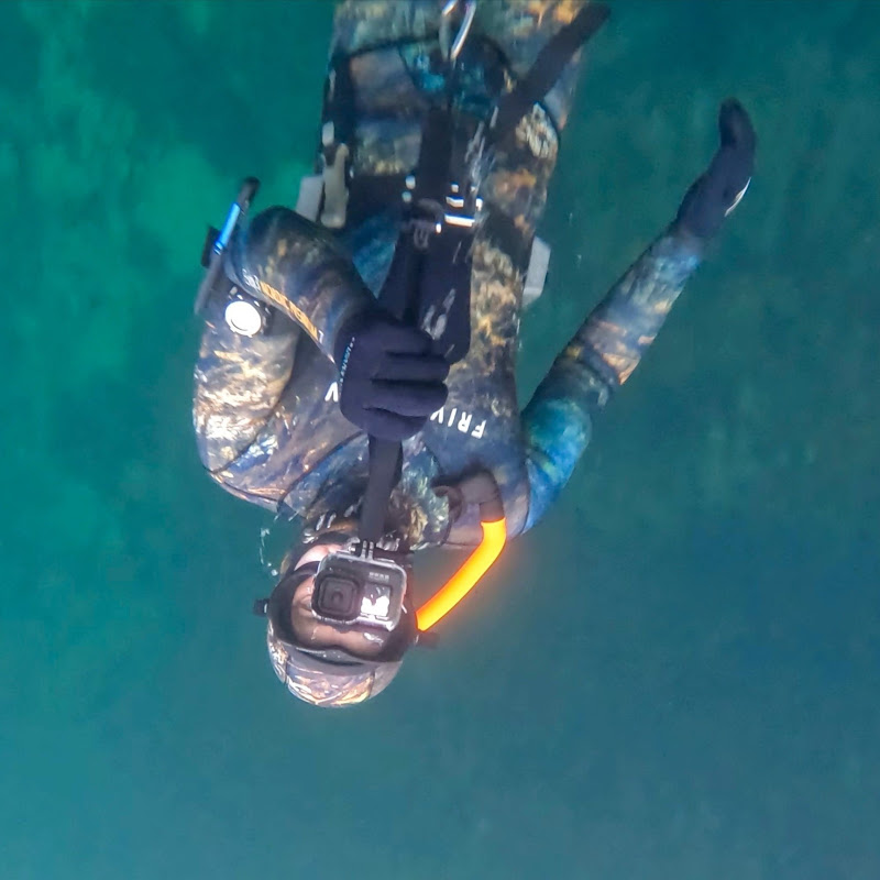Norwegian freedivers
