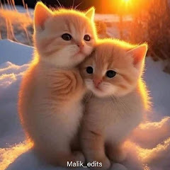 Malik_edits