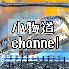 小物道channelアイコン画像