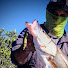 FADqVTeawCo-channel-avatar-Lupe Lofish