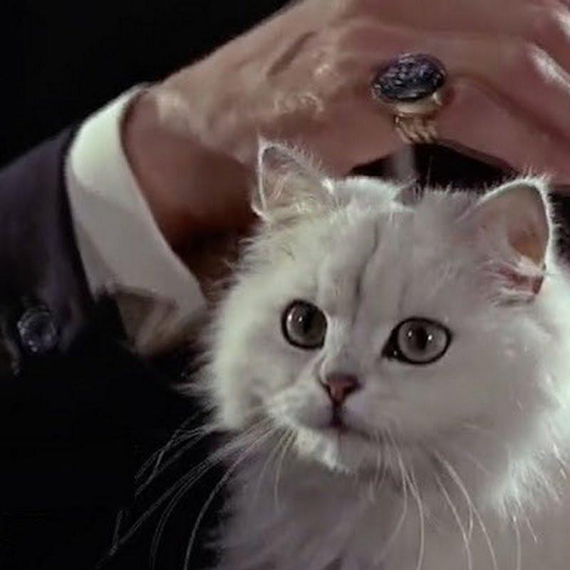 The Blofeld Organization