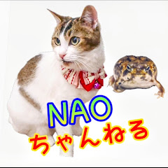 NAOちゃんねる