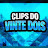 @clipsdovintedois