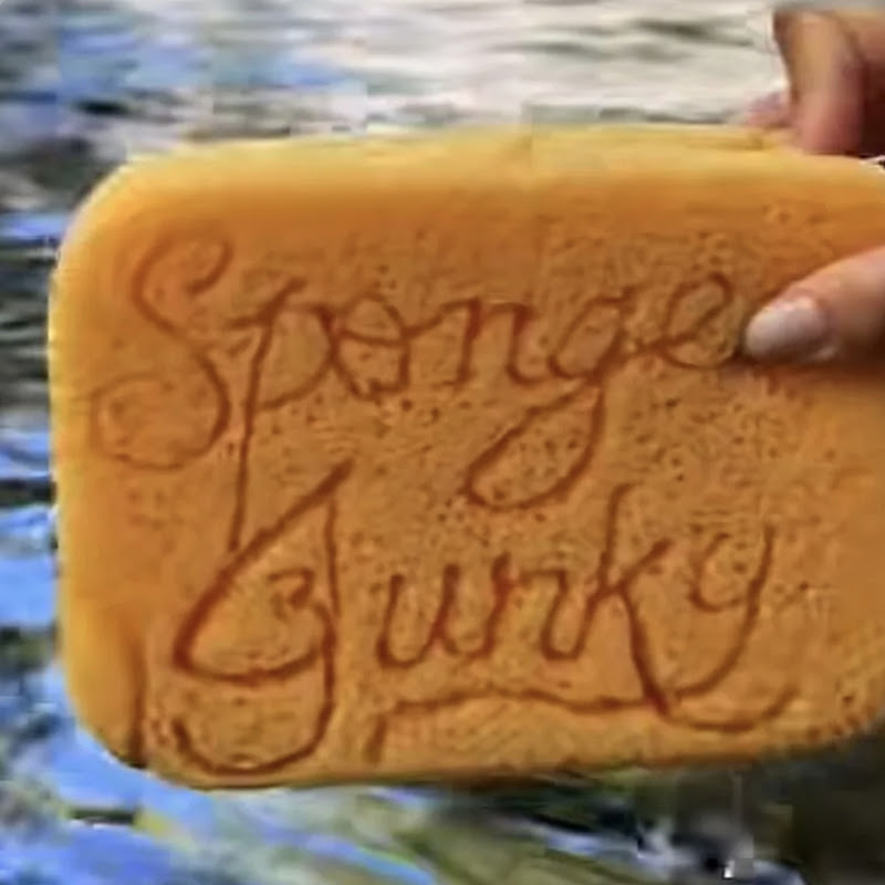 Sponge Junky logo