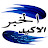 الخبر الاكيد