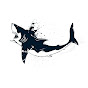 Dead Shark Paranormal logo