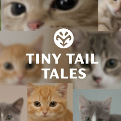 Tiny Tail Tales