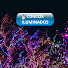 KMzQGZ_-NFA-channel-avatar-💡CONTOS ILUMINADOS