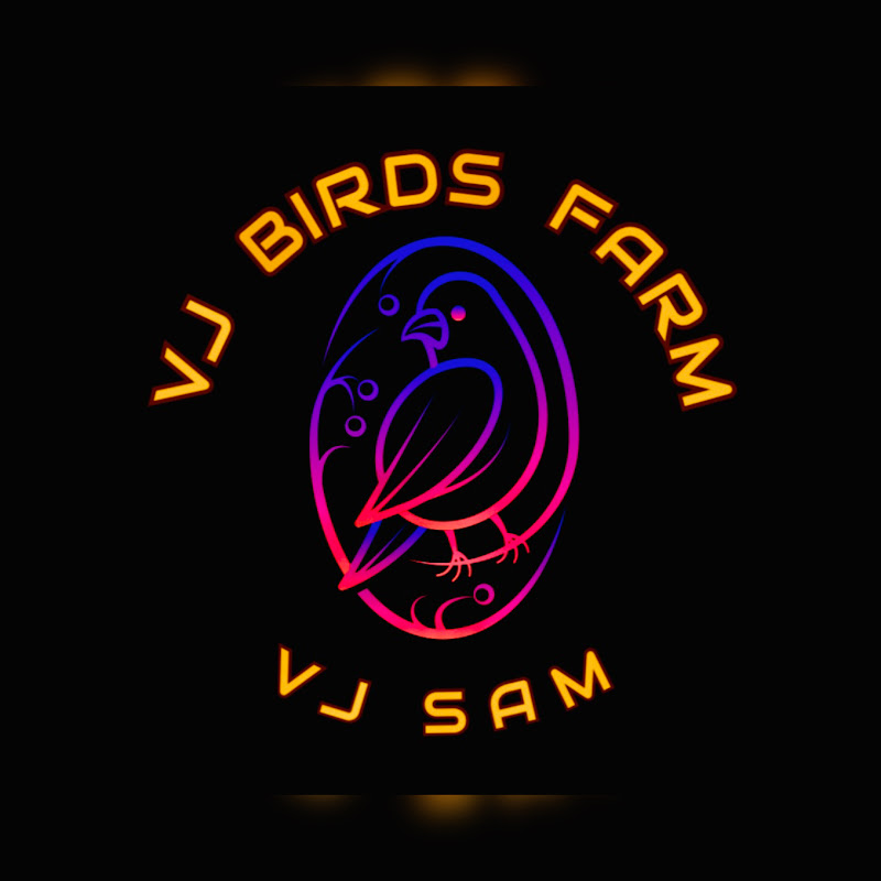 Vj Pets & Vlogs