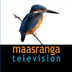 Maasranga TV Official Avatar