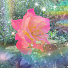XcmYqn5lfL0-channel-avatar-Jay; iridescentarot