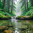 Wisufmm6xvg-channel-avatar-Listen To Forest Soundscape
