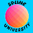 Spline University