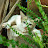 @Aksamathew407 Avatar