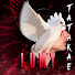 UNRhoYXNyDU-channel-avatar-Lumy