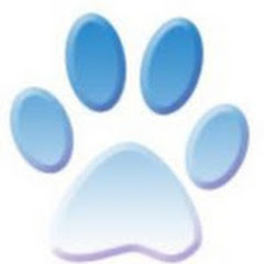 サビ猫あずきと愉快な仲間たち